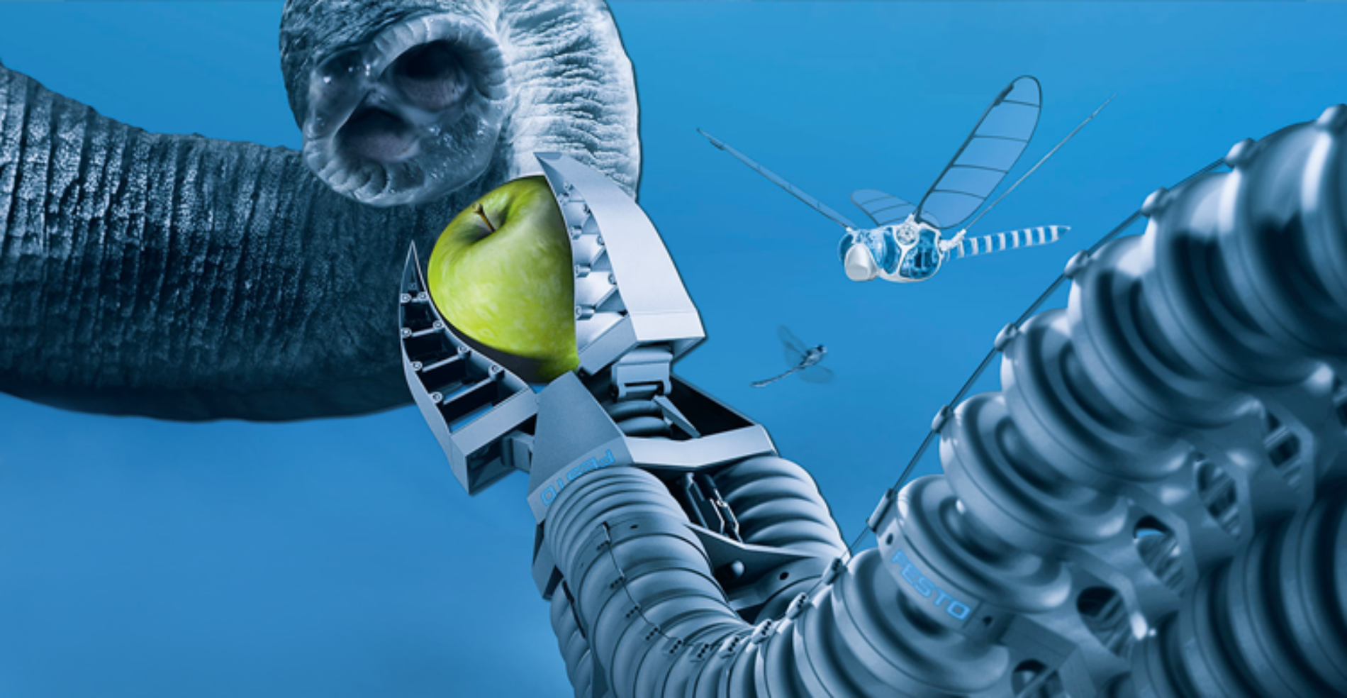 Animal Like Automation From Festo