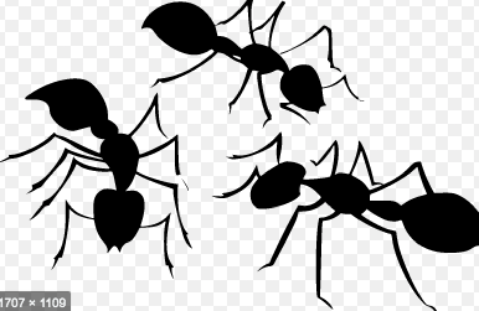 Horde of Robotic Ants